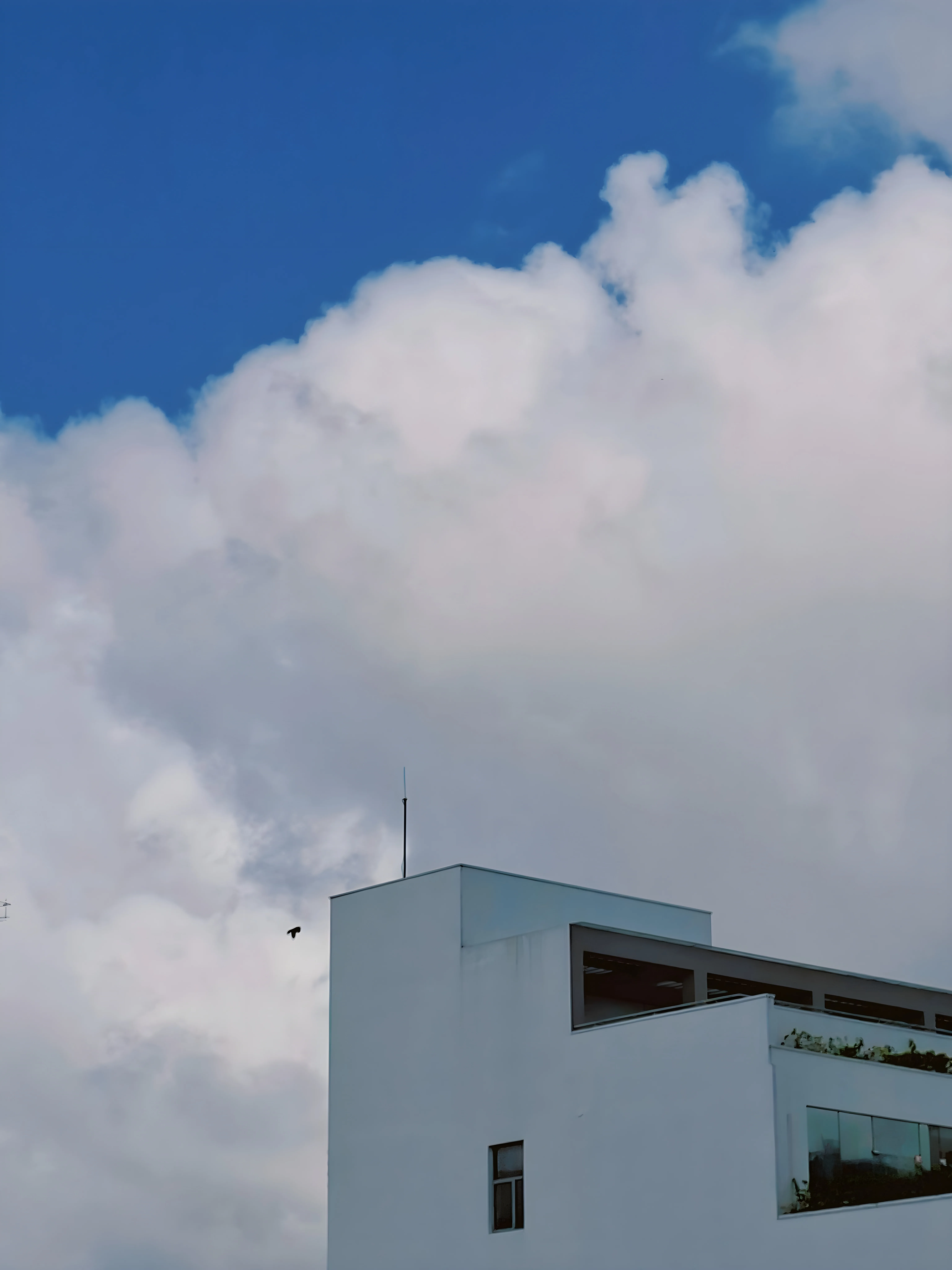 A white building against a cloudy sky, with a bird in flight