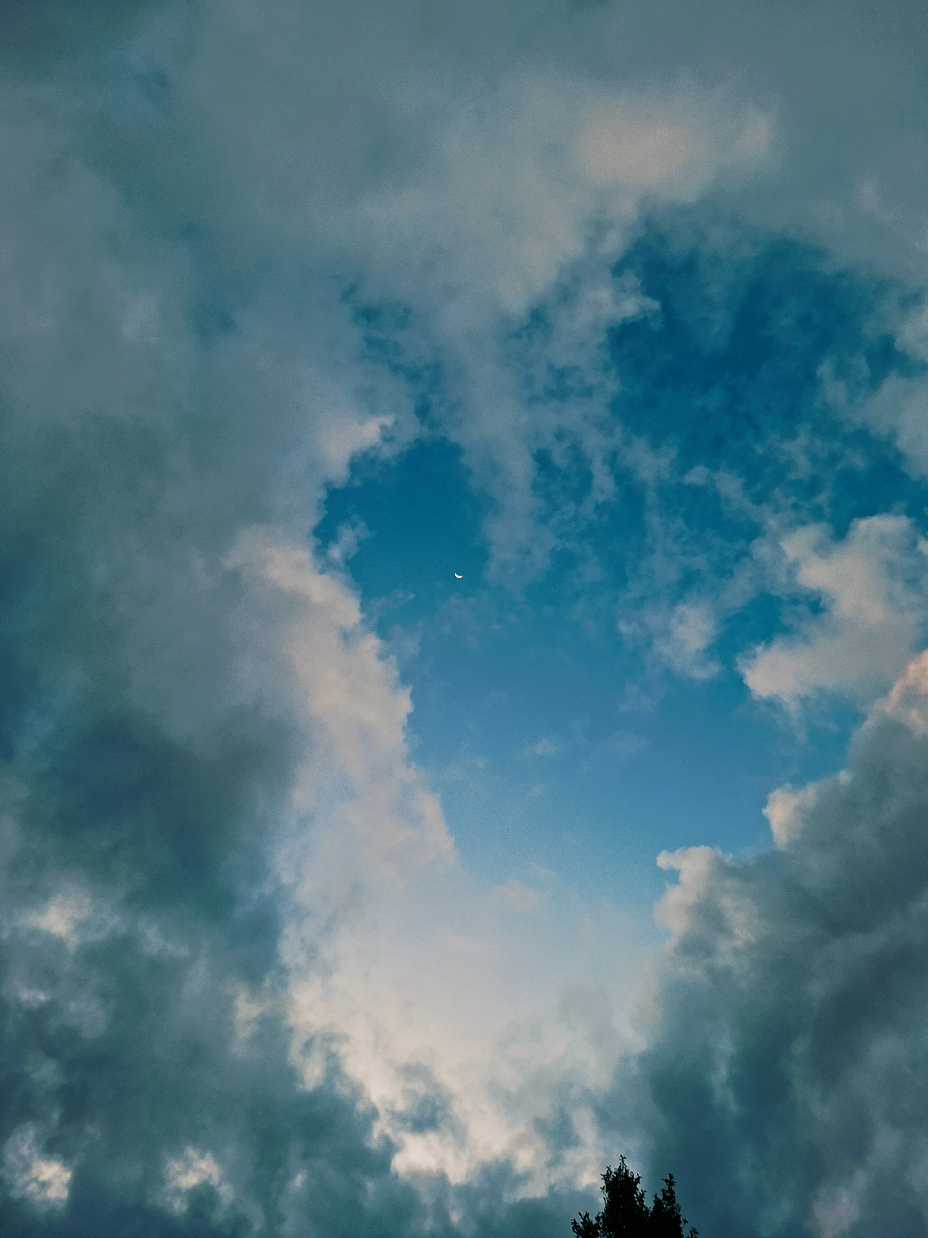 Crescent moon in a break of clouds, with a treetop at the bottom of the frame
